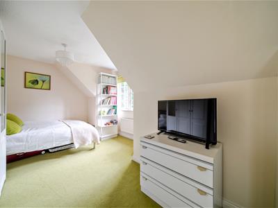 Picture 15